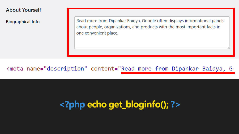 WordPress get author Biographical Info or author description